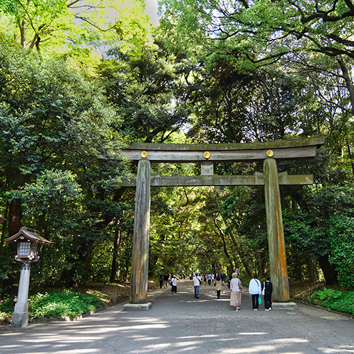 明治神宮代々木公園